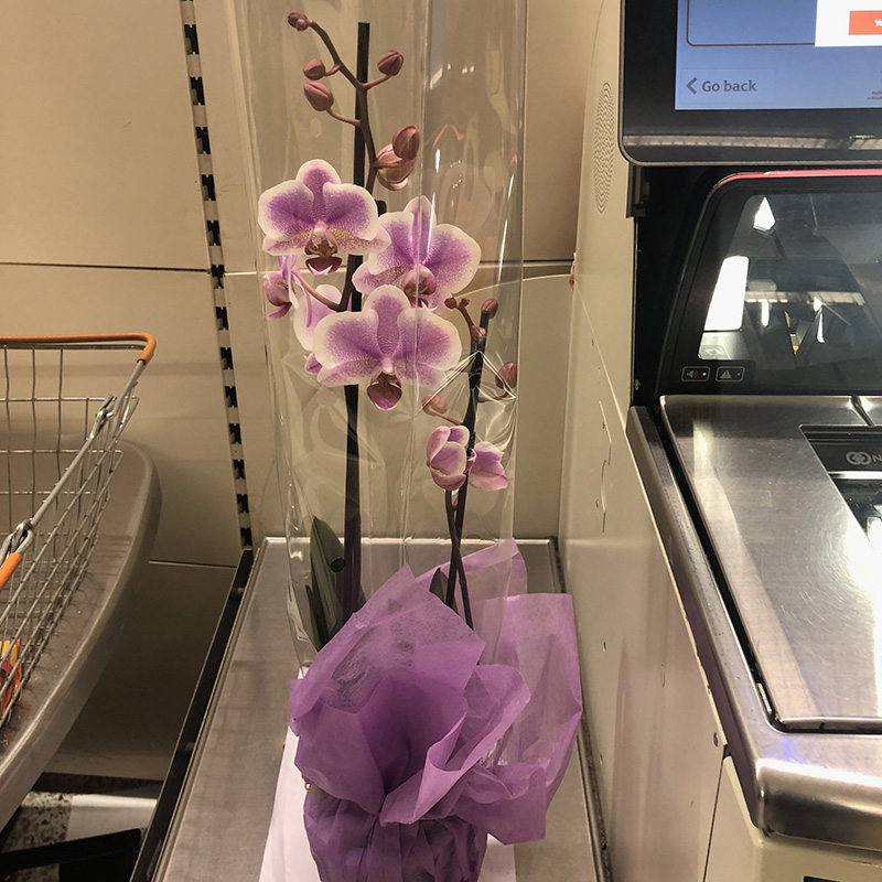 В Лондоне мало цветочных магазинов, цветы в основном продают в супермаркетах