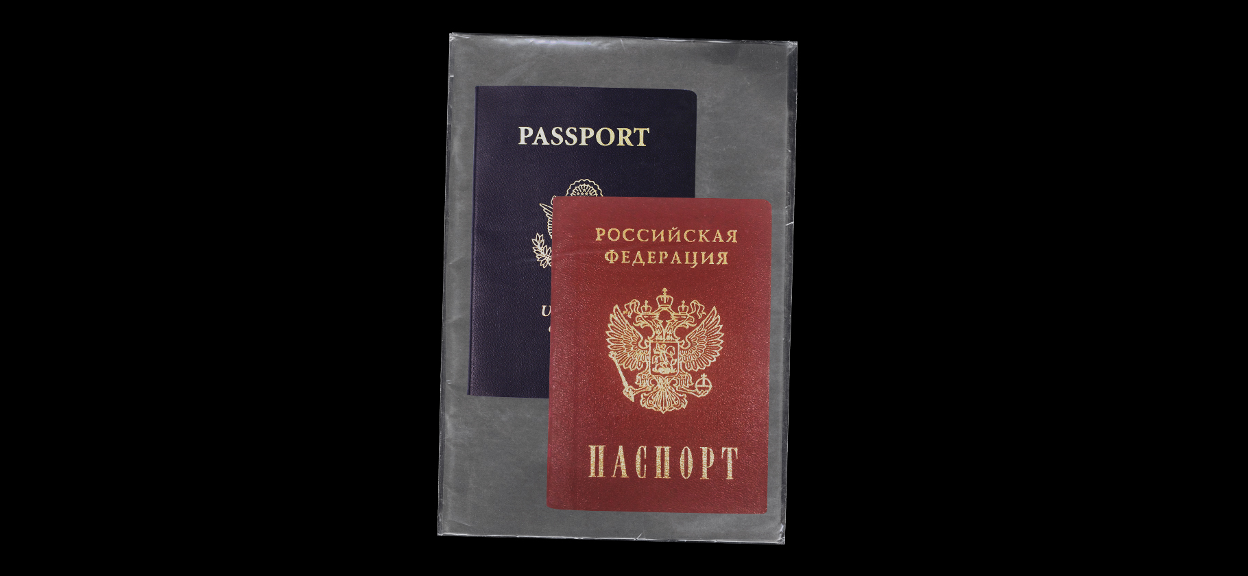 Можно ли в России иметь второе гражданство