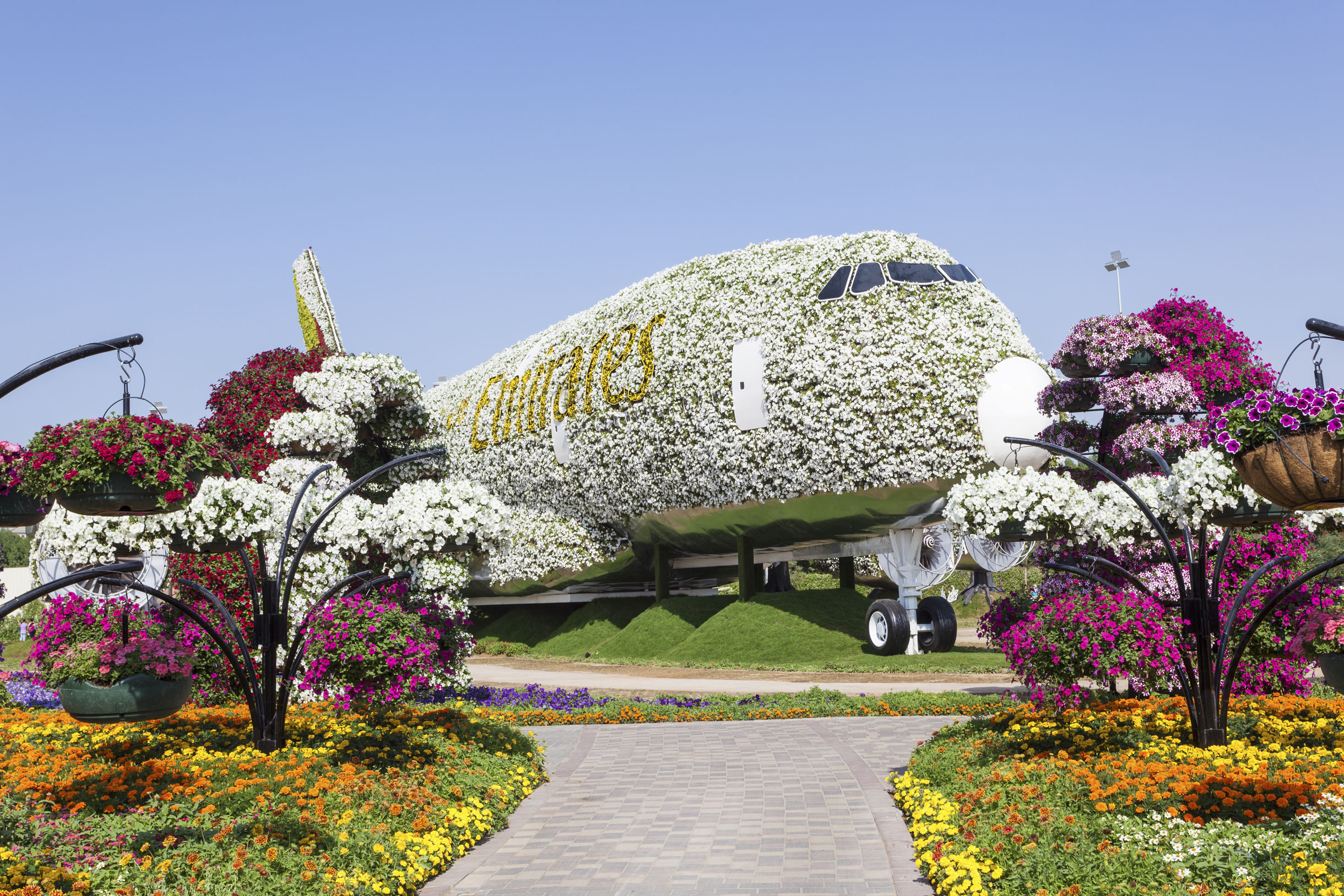 В парке стоит самолет Airbus A380, который полностью украсили цветами. Он попал в Книгу рекордов Гиннесса как крупнейшее цветочное сооружение. Фото: Philip Lange / Shutterstock
