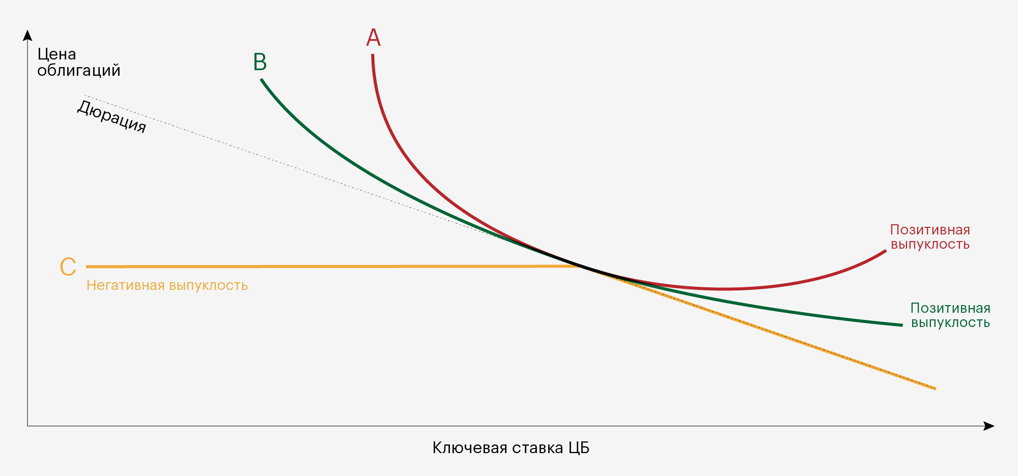 Красная и зеленые линии — графики цены двух облигаций с позитивной выпуклостью. Желтая линия — график цены облигации с негативной выпуклостью. Пунктирная линия — дюрация облигаций. Выпуклые линии отклоняются от пунктирной линии при изменении процентных ставок