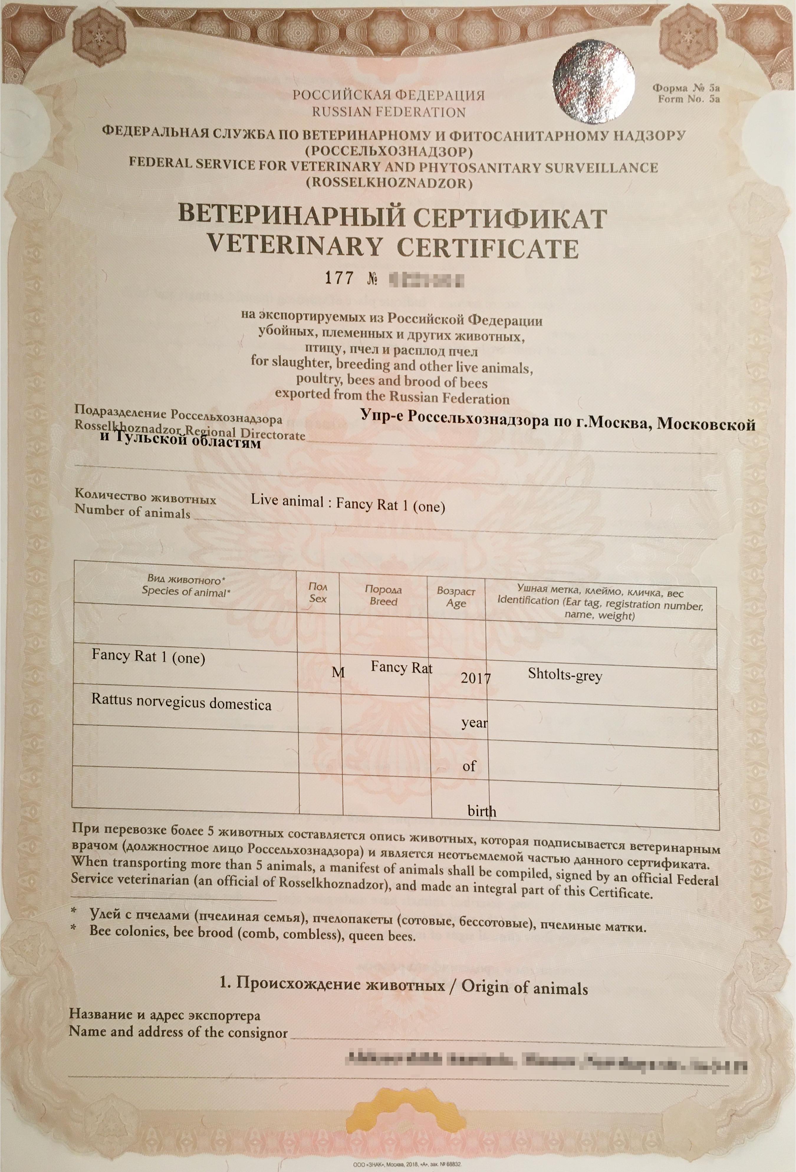 Международный ветеринарный сертификат для крысы