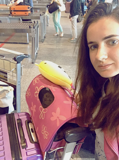 Тележка с чемоданом и кошкой в переноске — я просто Гарри Поттер на платформе 9 ¾