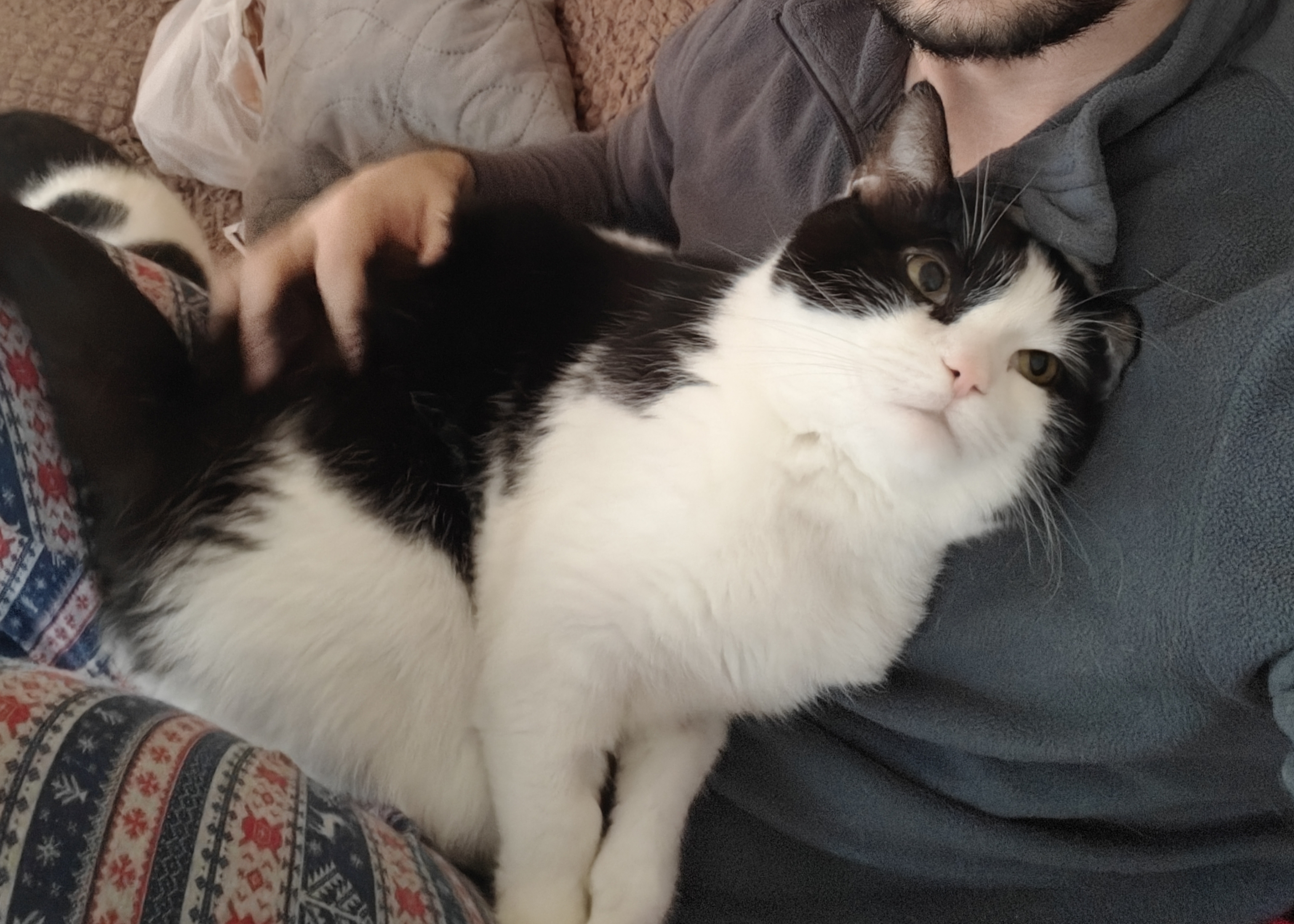 Любовь к папе