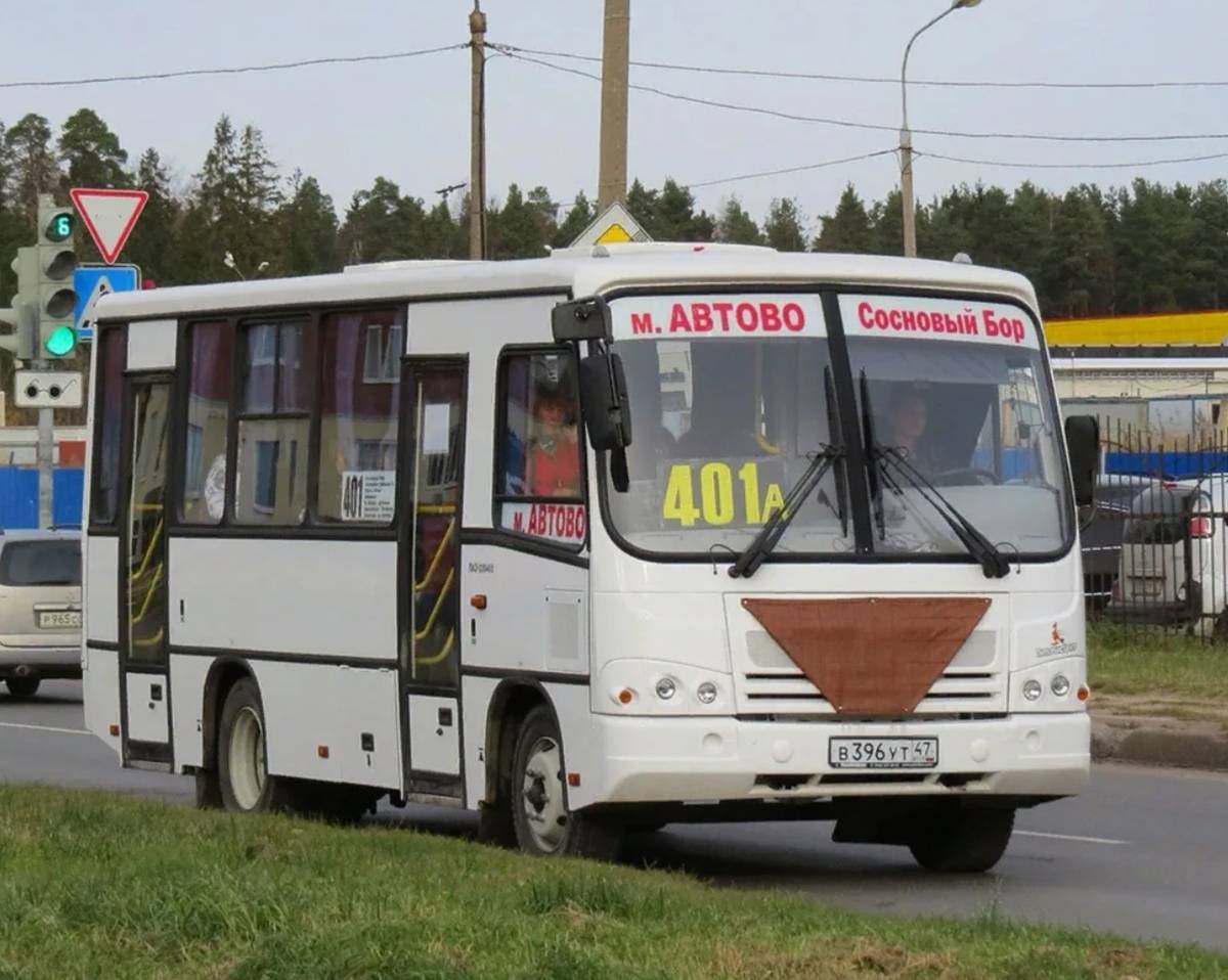 Плюсы огромные и заметные»: за что я люблю общественный транспорт в  пригороде Петербурга