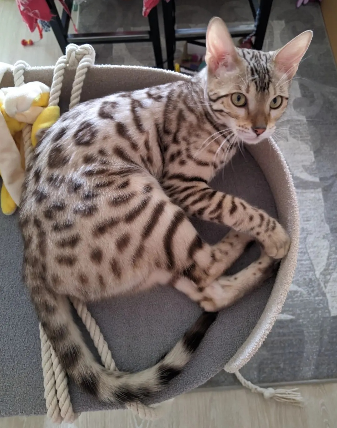 Чем бы заняться?