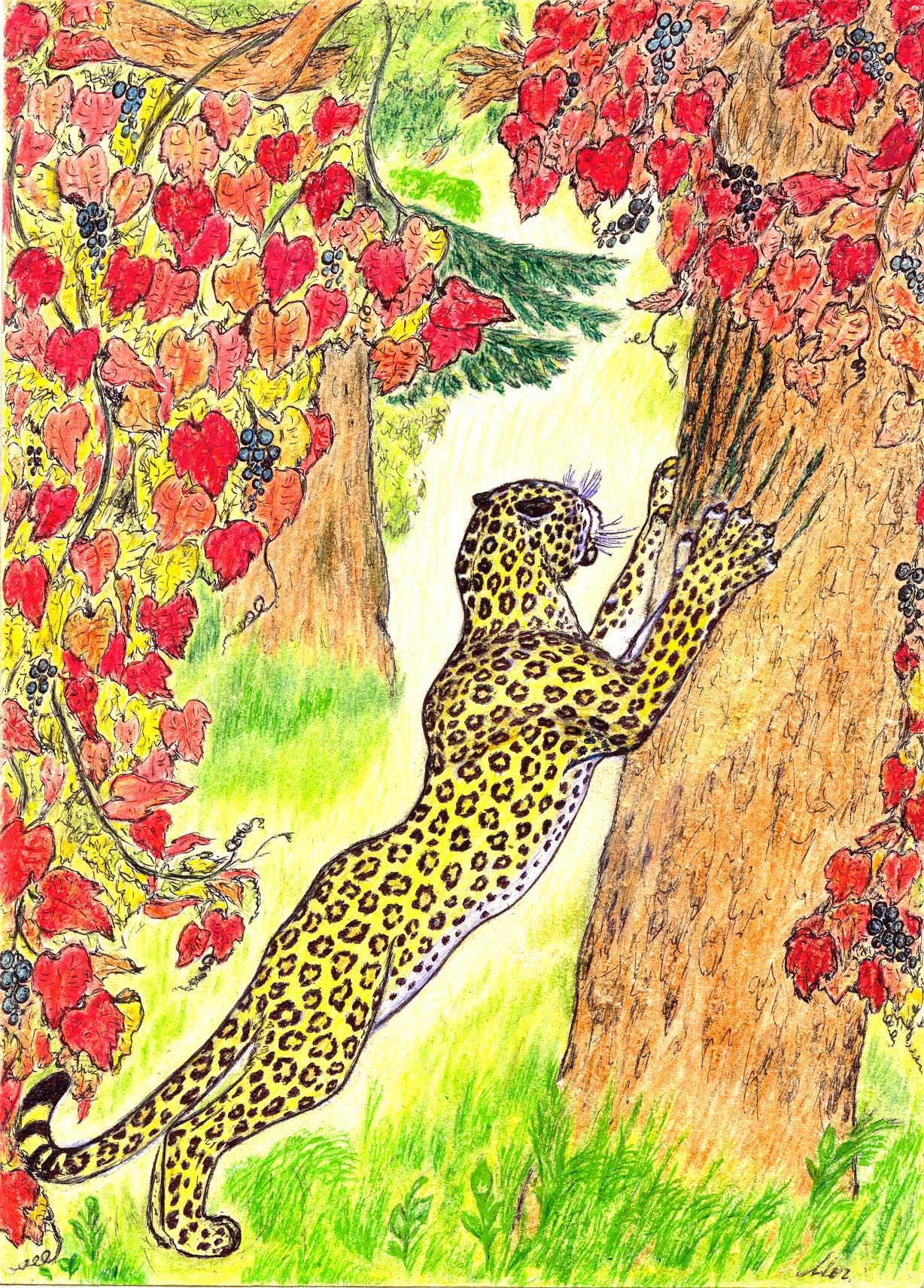 В Дальневосточной тайге