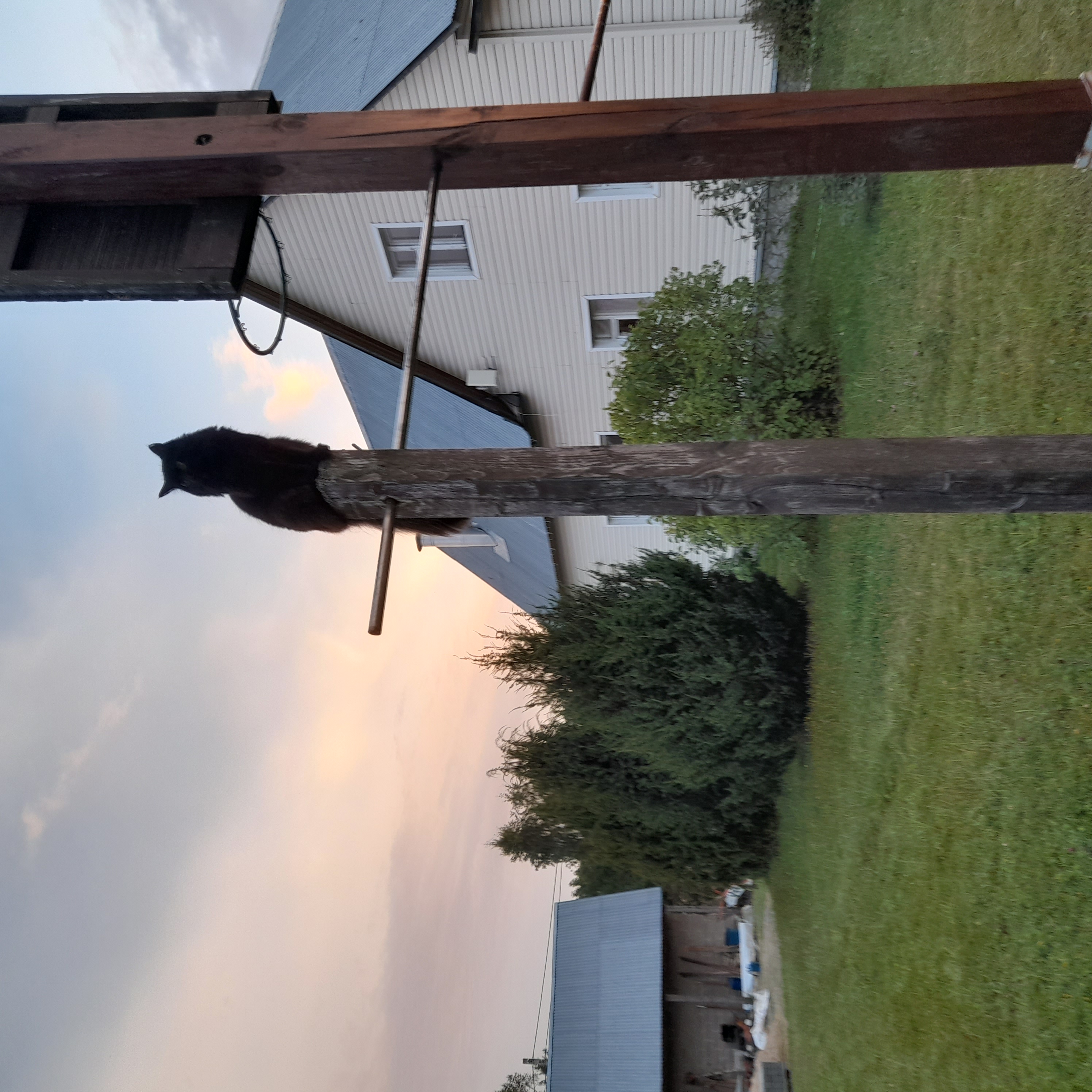 «Высоко сижу, далеко гляжу!»