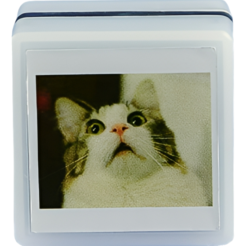 Печать с мемной кошкой