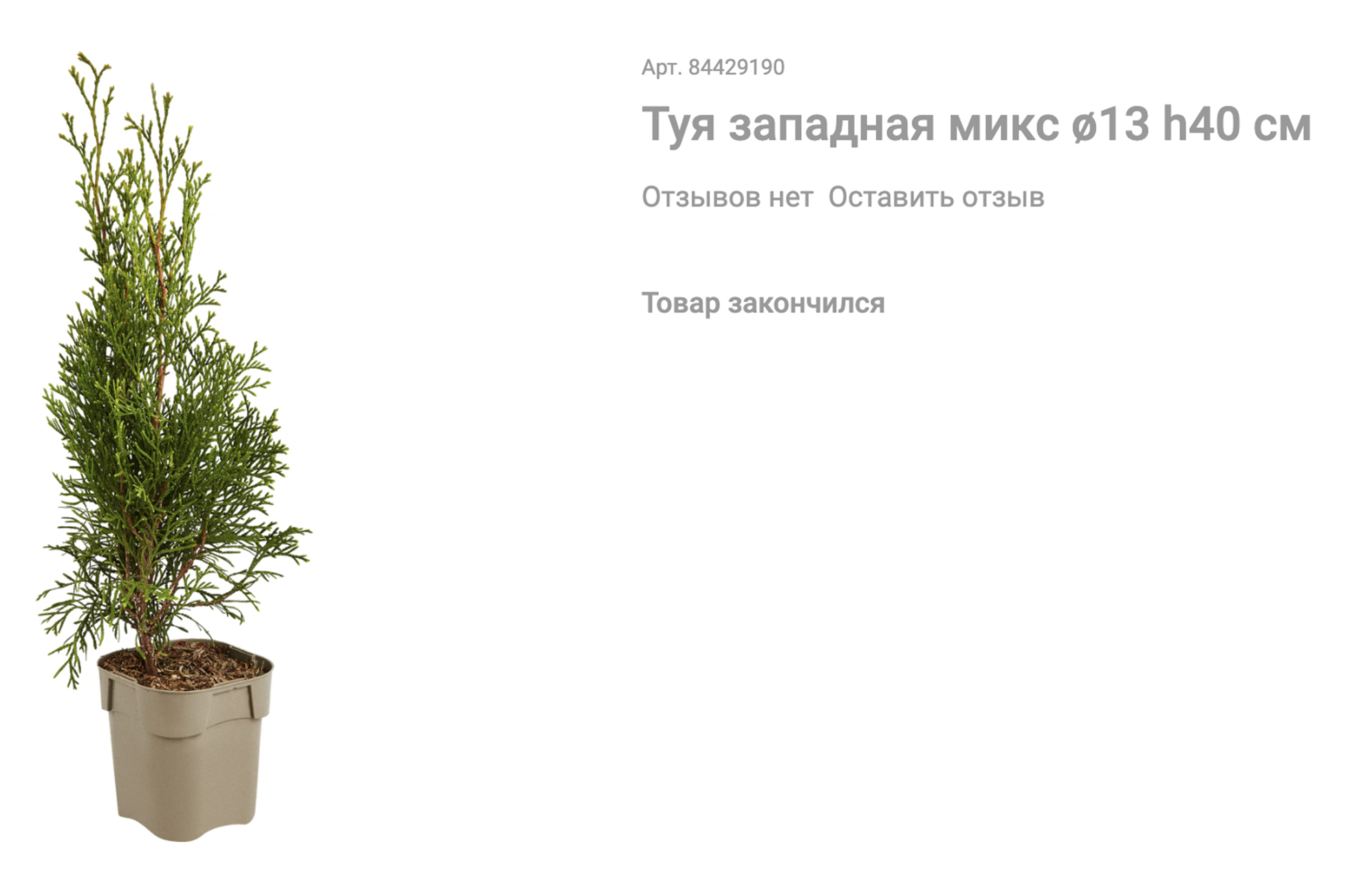 Этот саженец меньше, стоит почти в 2,5 раза дешевле, но даже неизвестен сорт. Источник: leroymerlin.ru