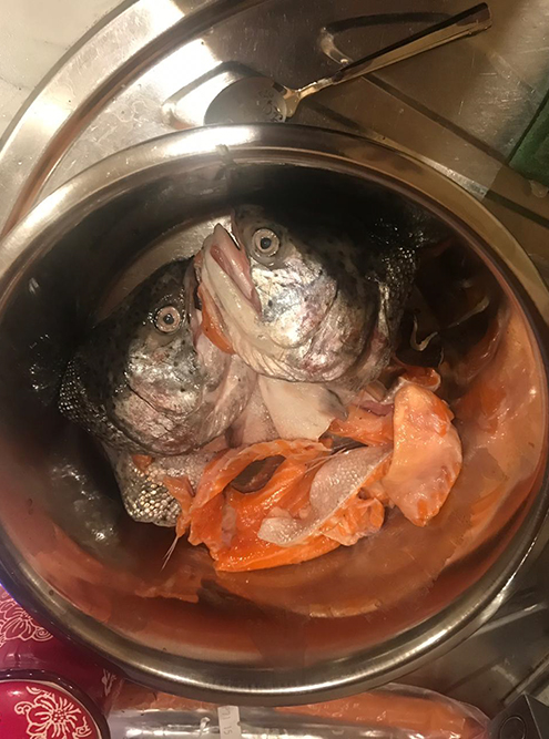 Суповой набор из лососевых рыб для Деи