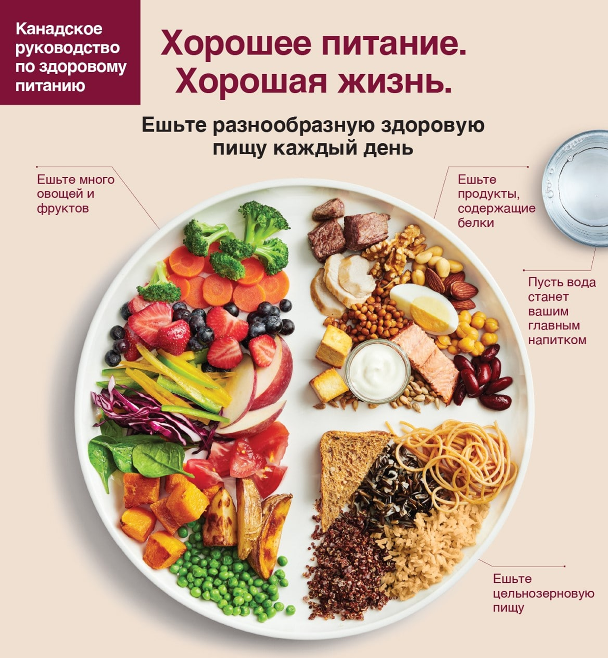 Мясо, яйца, молоко: комитет ООН признал незаменимость животных продуктов — Forbes Kazakhstan
