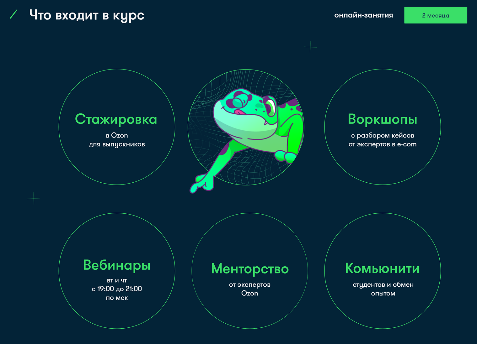 Что входит в курс для начинающих программистов. Источник: ozon.ru