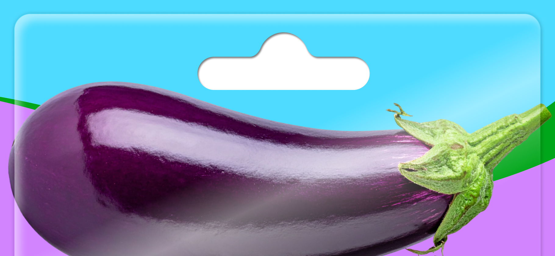 Как вырастить рас­саду баклажана