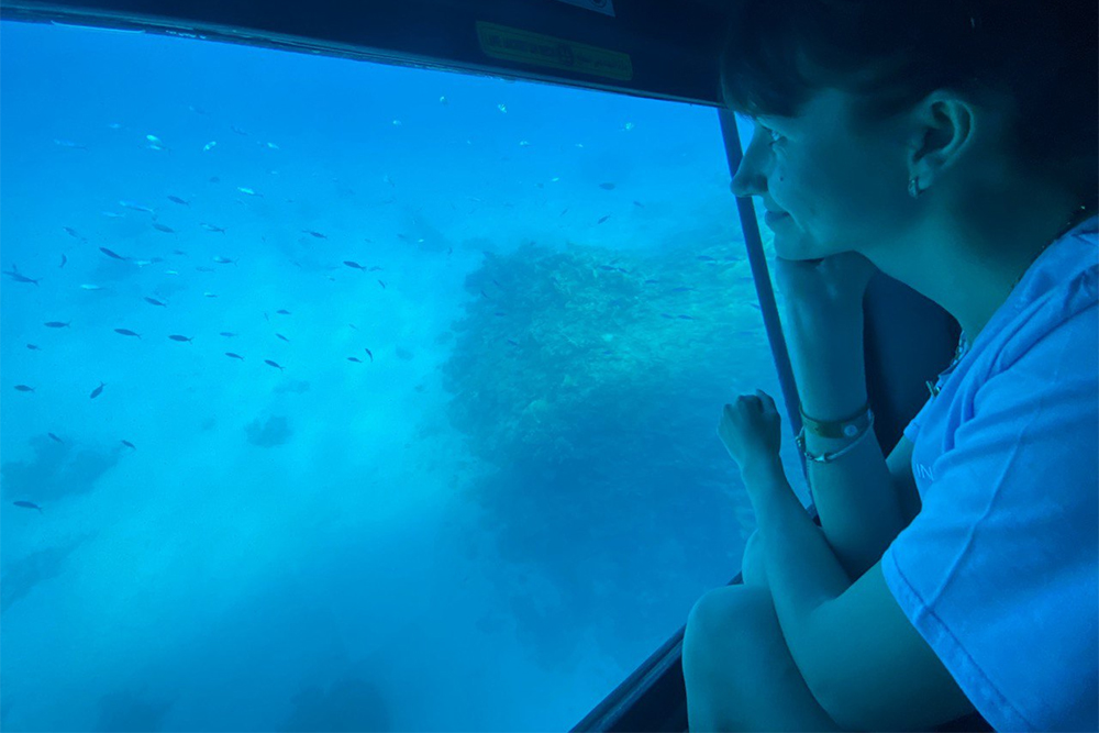 В субмарине много места, иллюминаторы широкие — все туристы могли спокойно разглядывать рыб