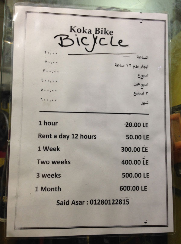 Арендовать велосипед кросс-кантри с переключением скоростей можно за 600 фунтов (2100 ₽) в месяц