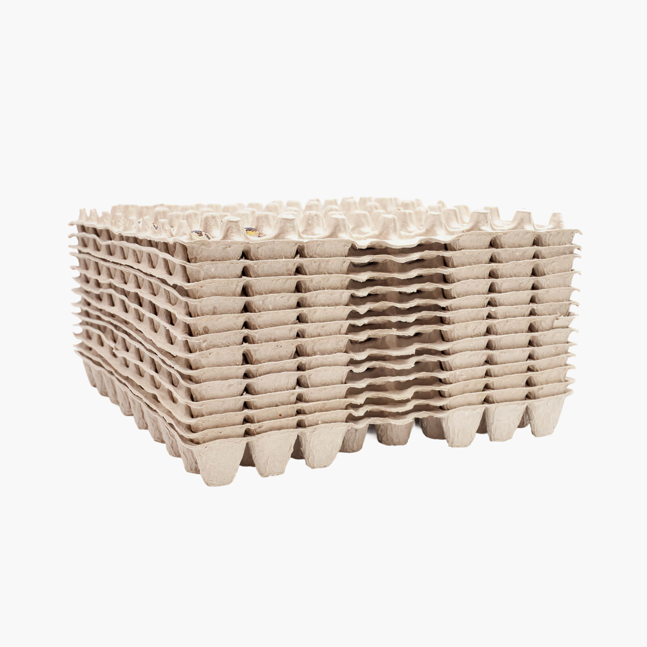 Ячейки для перепелиных яиц. Источник: soemz.com