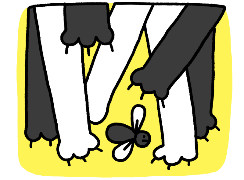 Лейбл заголовка