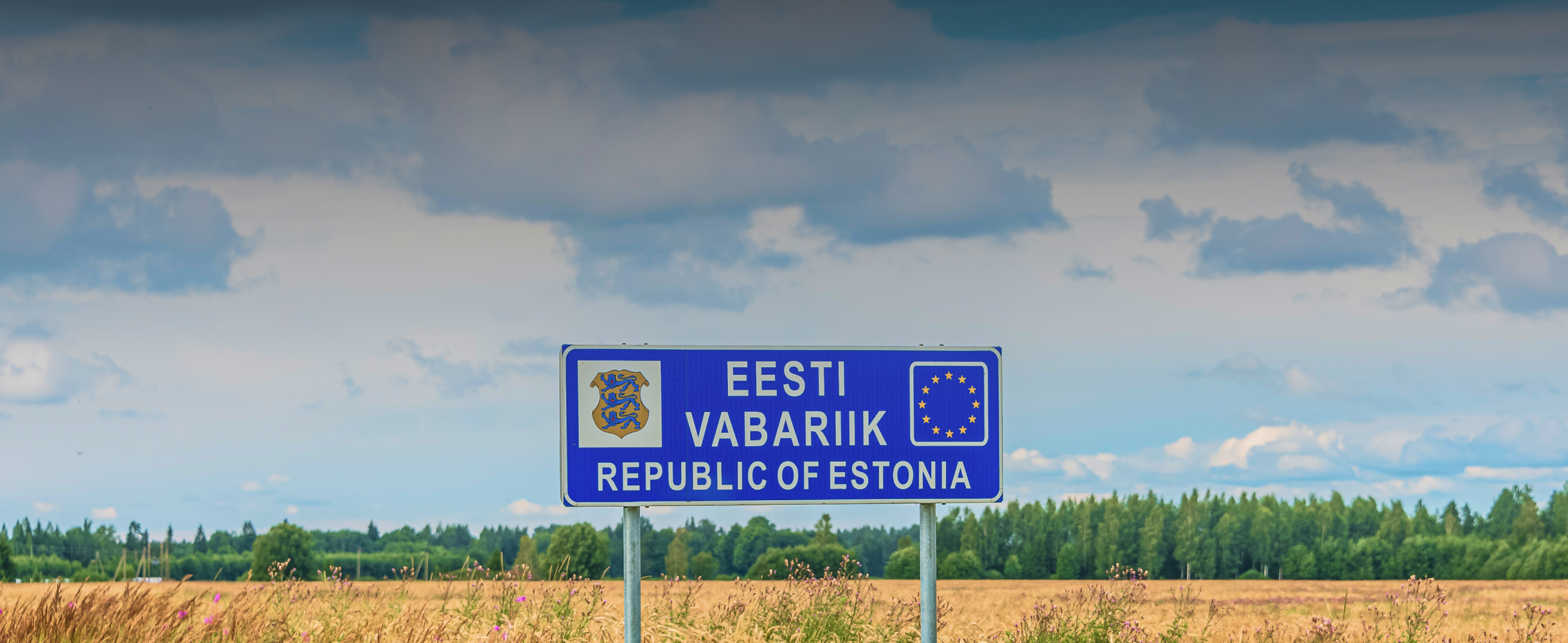 Как мне отказали в ВНЖ Эстонии и признали угрозой для общества