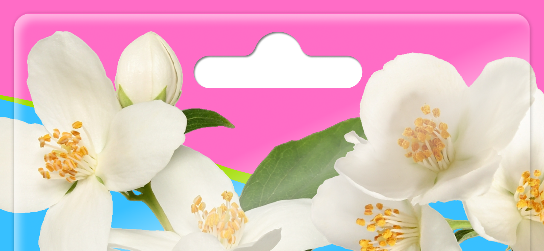 Как вырастить на участке чубуш­ник, который будет цвести два месяца