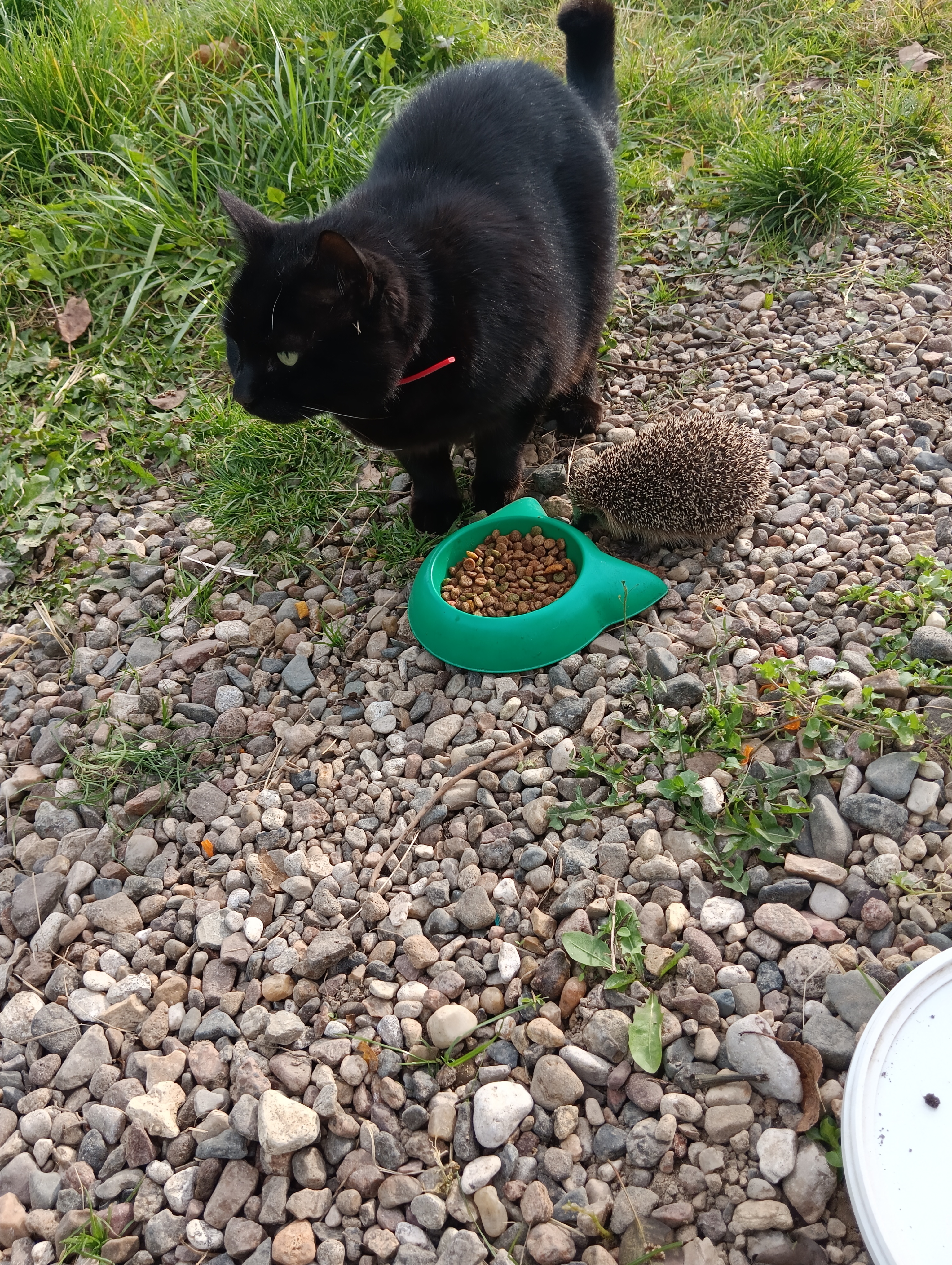 Завтрак на двоих