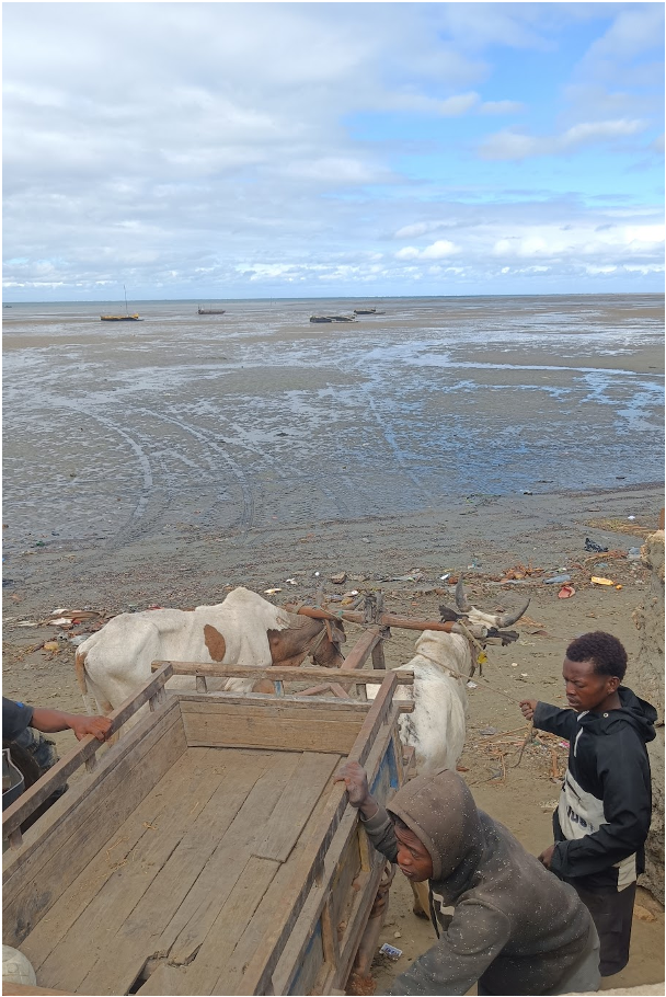 Трансфер до лодки