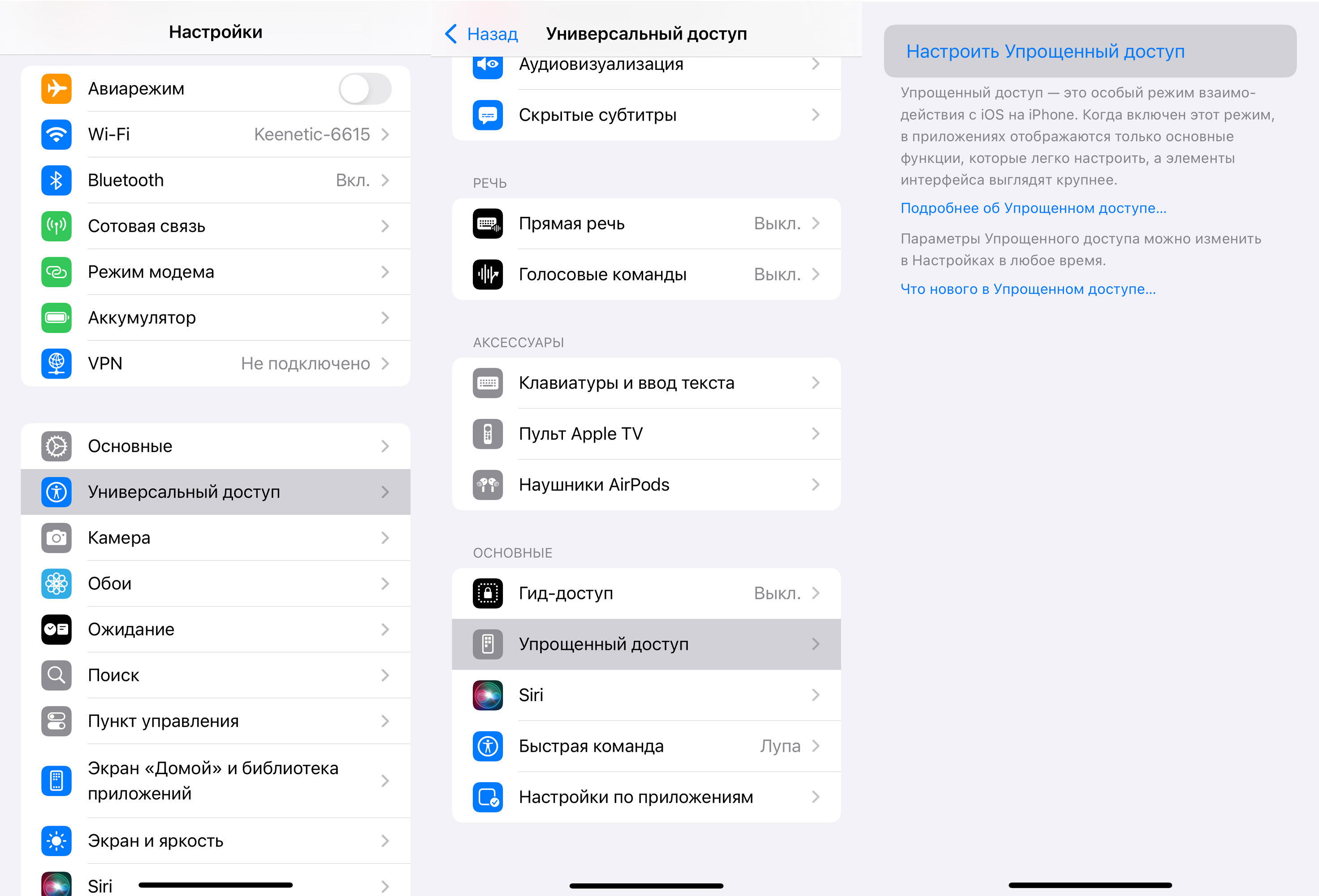 Где найти настройку и активацию «Упрощенного доступа» на iPhone