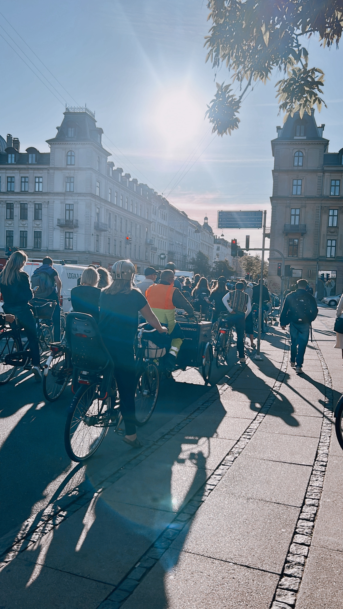 Утро в Копенгагене