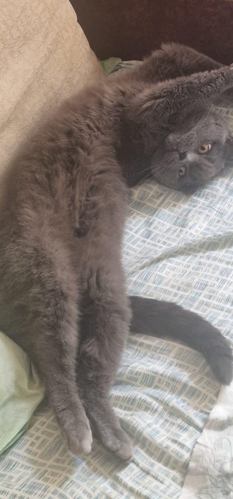 А теперь любите меня,ласкайте меня, а еще вкусняшку давайте