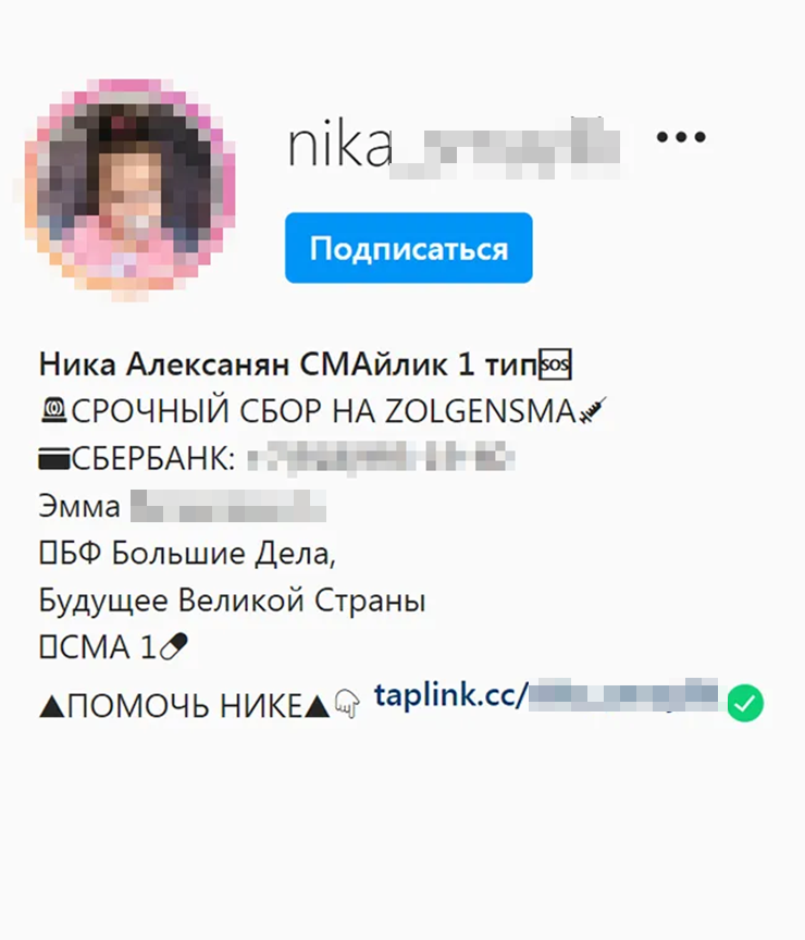 Этот аккаунт в «Инстаграме»* менее подозрительный. Приведены основные данные