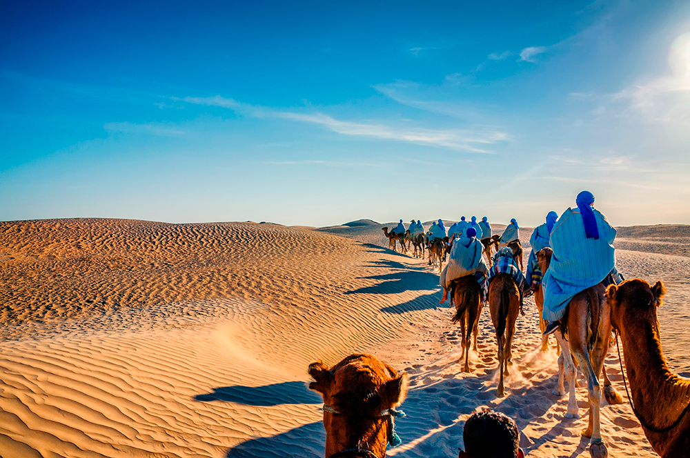 В Сахаре можно прокатиться на верблюде. Фото: Dmitry Eagle Orlov / Shutterstock