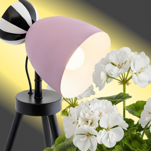 Обложка статьи