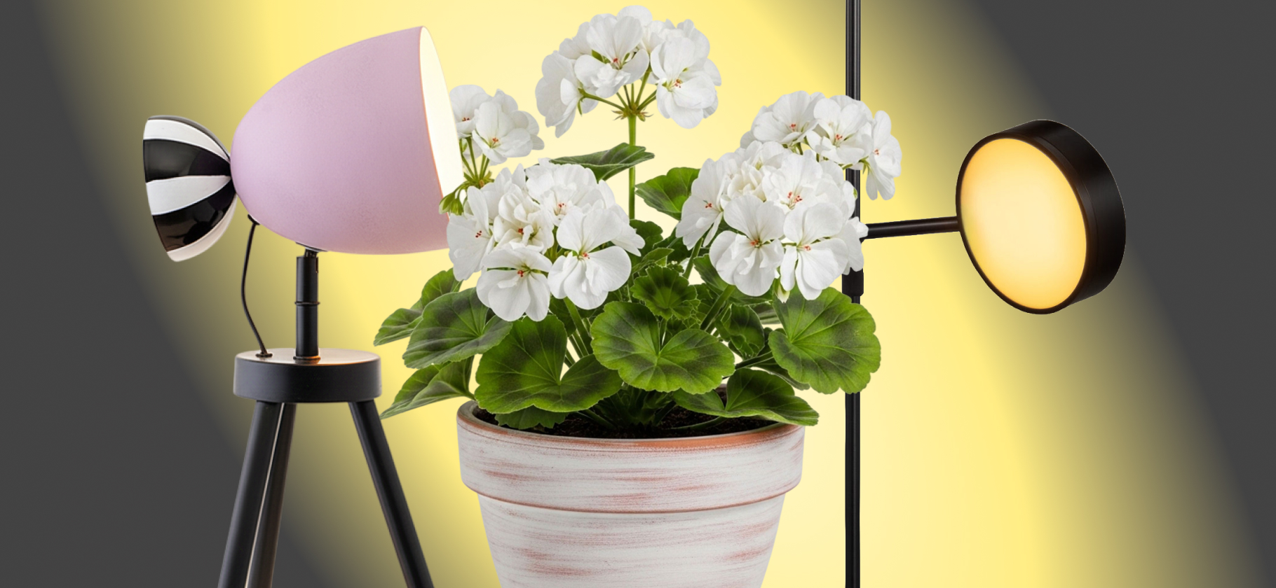 7 красивых ламп для рассады, по которым никогда не дога­даешься об их назначении