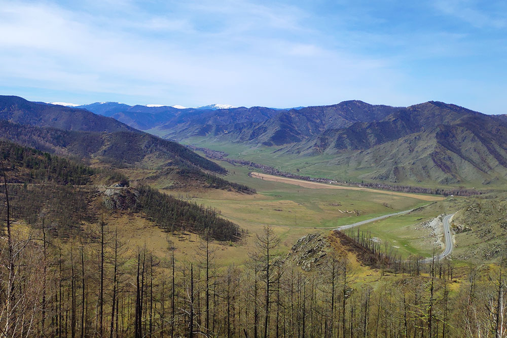 Вид с перевала Чике-Таман в мае. Внизу — лента Чуйского тракта и пробуждающаяся после зимы природа