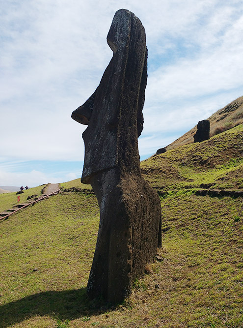 Статуи высечены из вулканических пород. Всего их около 900