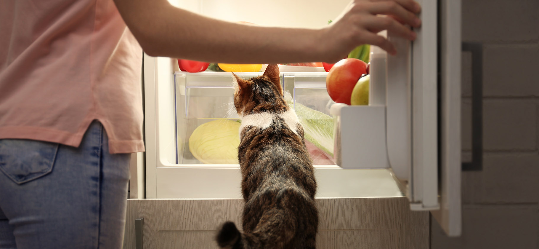 Как выбрать холодильник и не переплатить за лишние функции