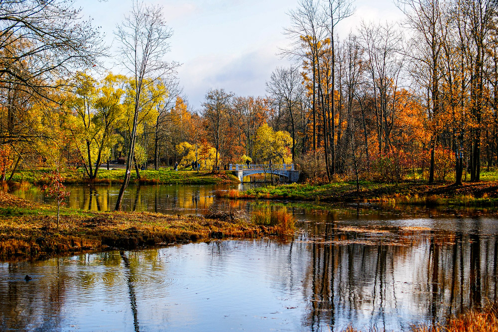 Осенью в Александровском парке в Пушкине особенно красиво