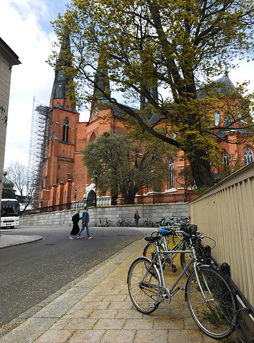 Уппсала — город велосипедистов. В городе нет больших перепадов высот, поэтому велосипедов на дорогах больше, чем в Стокгольме