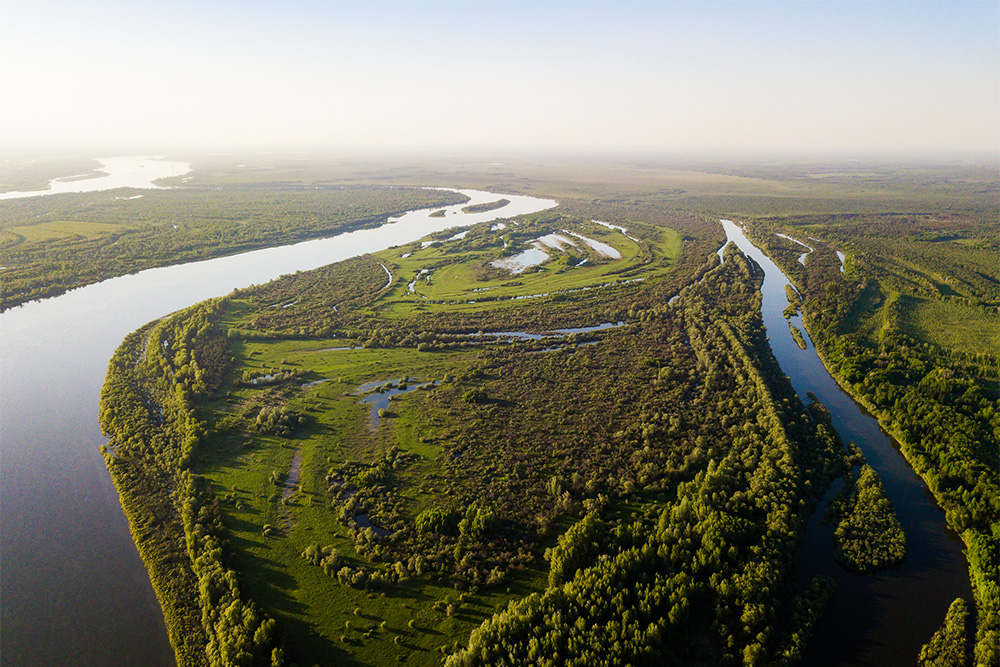 Посмотреть на Васюганские болота летом можно только из вертолета. Фото: Dmitriy Kandinskiy / Shutterstock