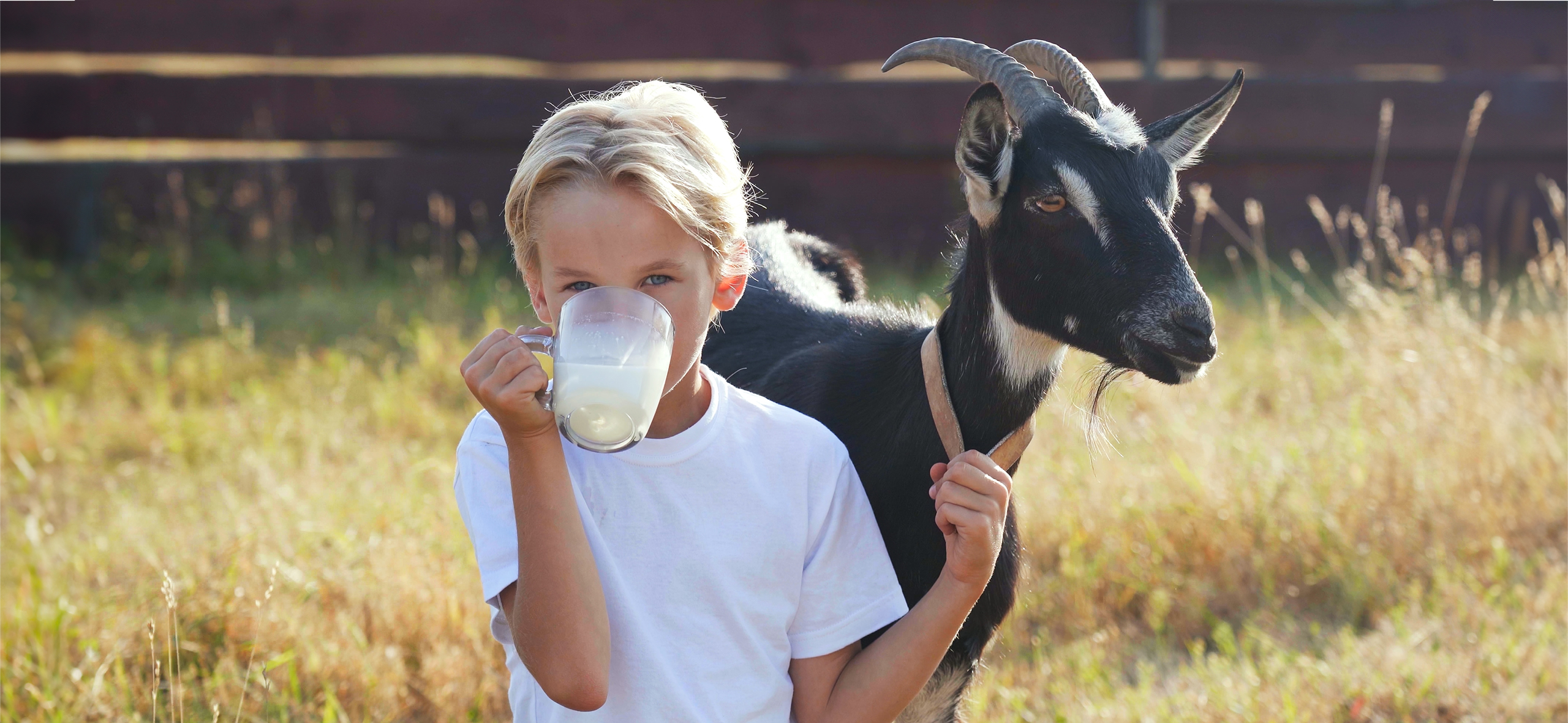 «Гости вспоминают у нас поездки к бабушке в деревню»: как устроен агротуризм в России