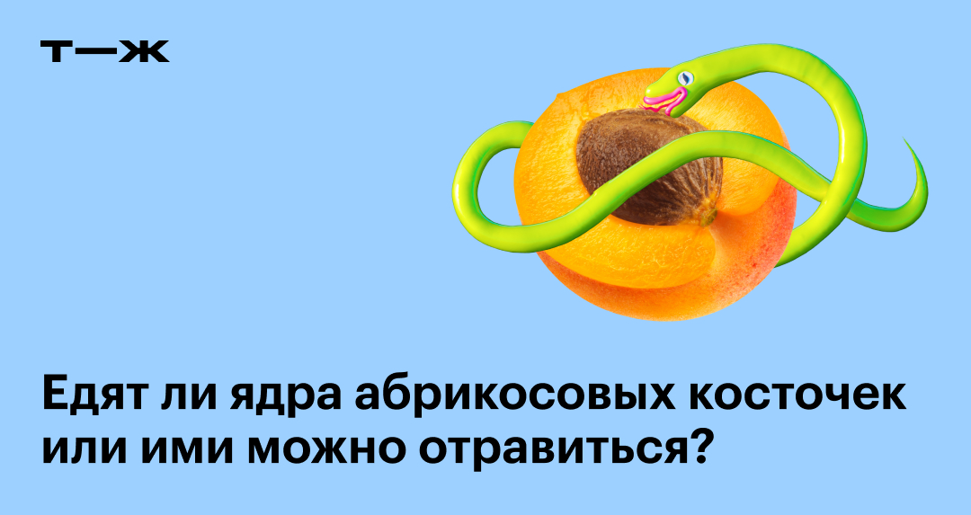 Ядра абрикосовых косточек: польза и вред, можно ли их есть и в каких ...