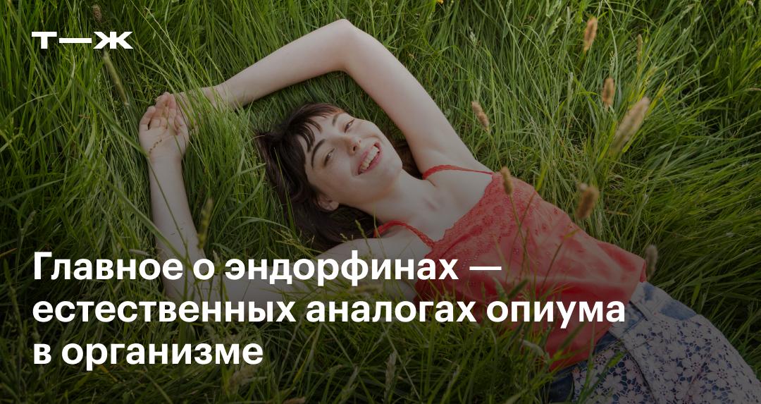 Как поднять антимюллеров гормон. Как поднять антимюллеров гормон