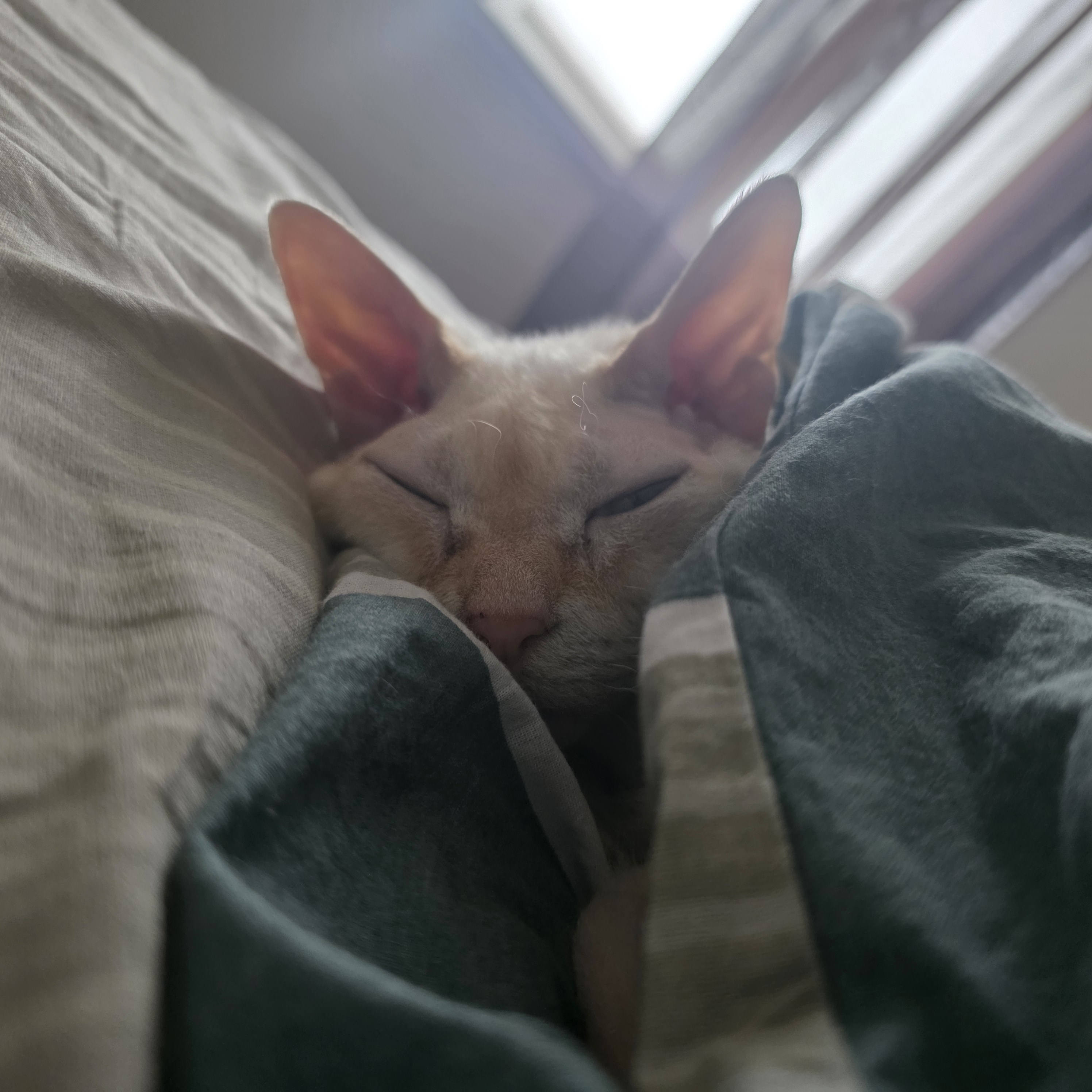 Иди на свою работу)