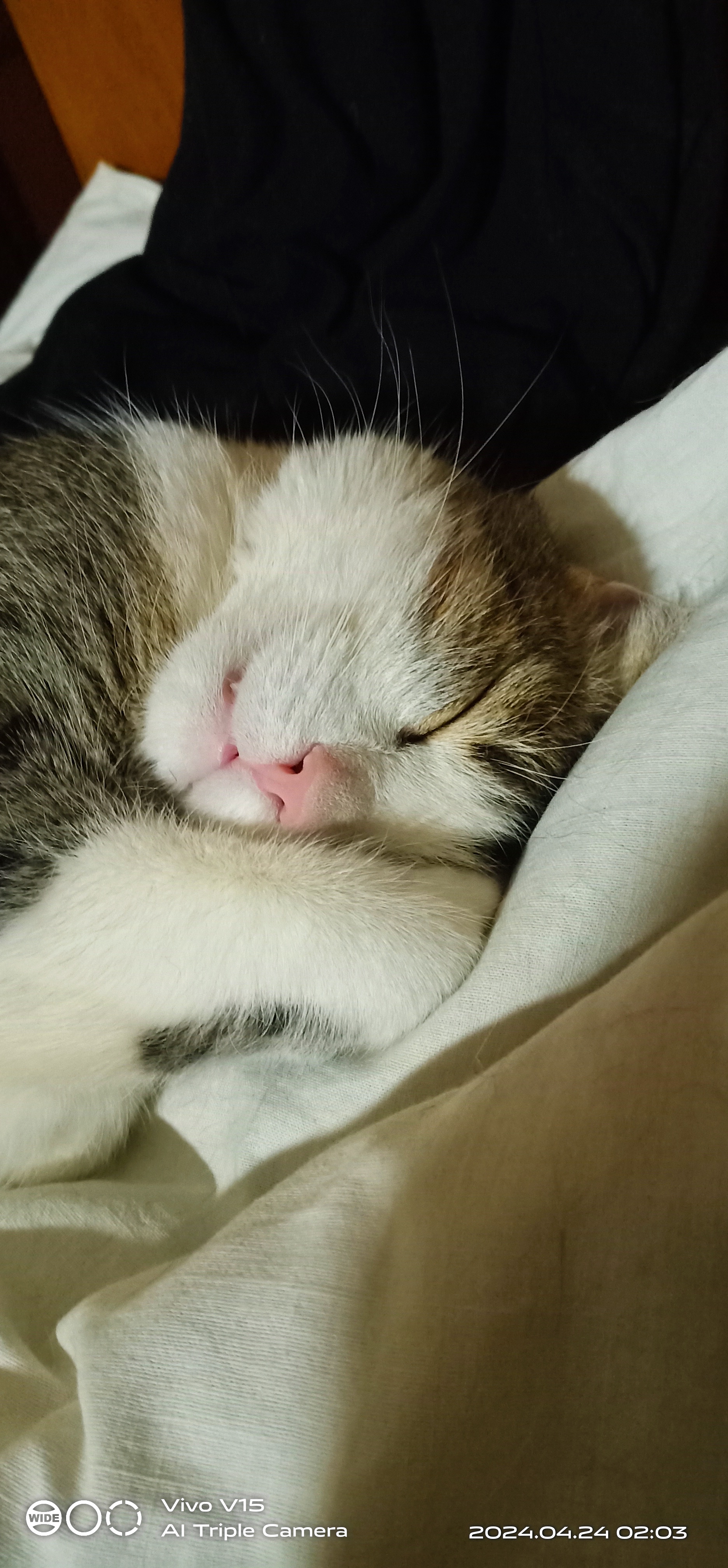 Десятый сон