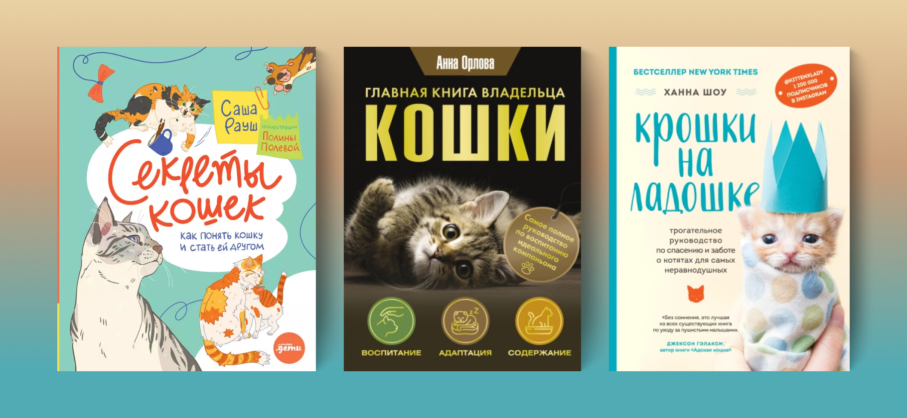 Что почитать про кошек: 6 полезных книг