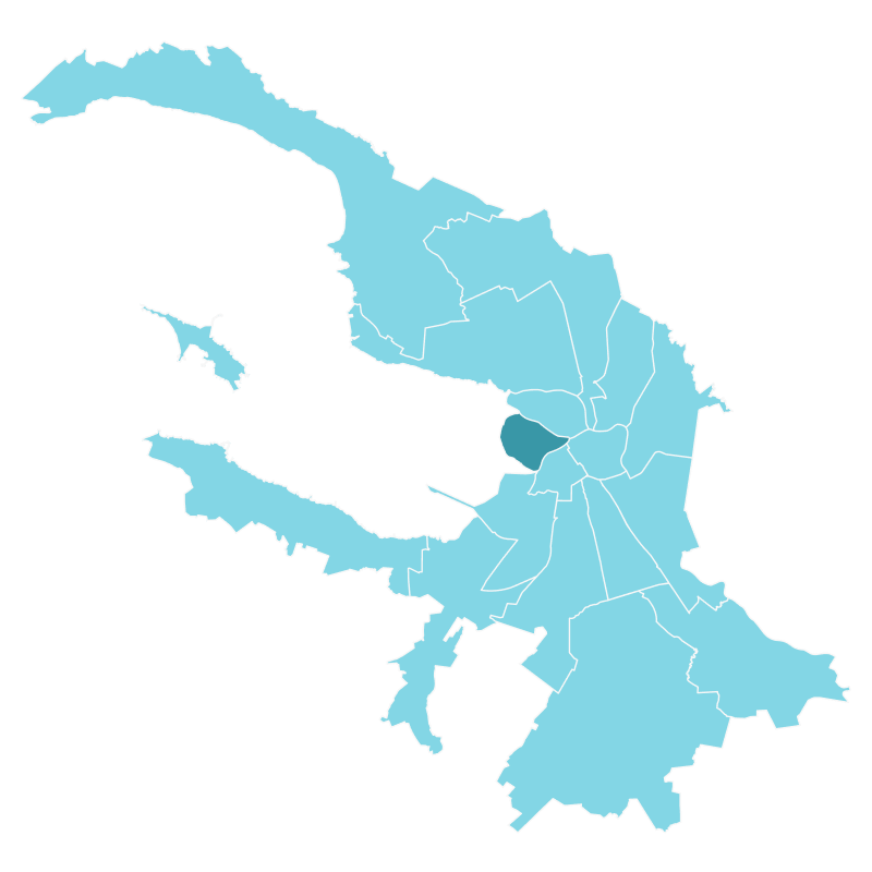 Район: Василеостровский