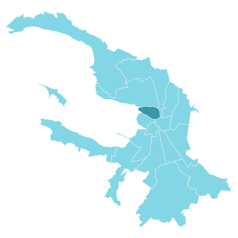 Район: Петроградский