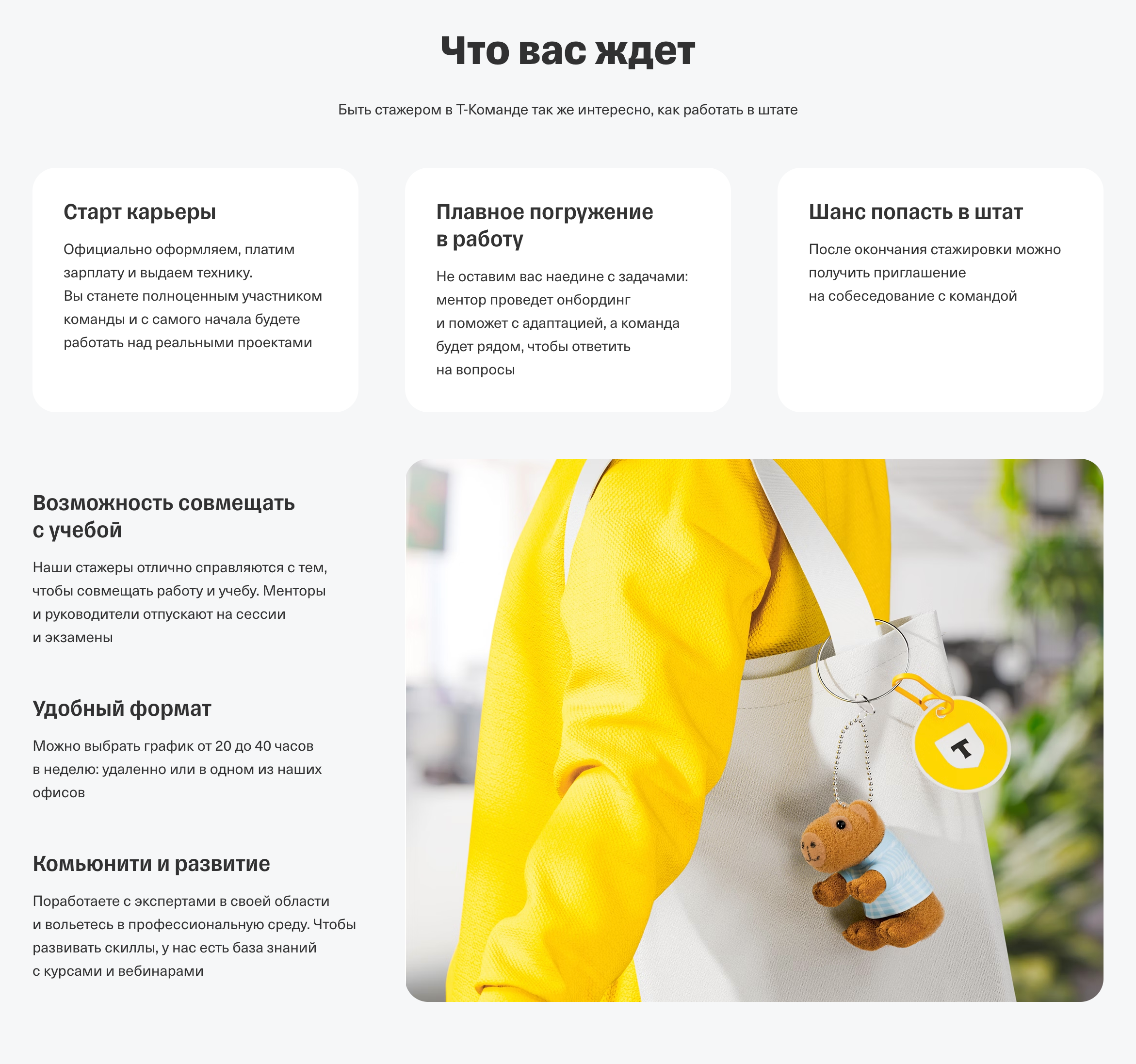 Условия участия в программе. Источник: education.tbank.ru