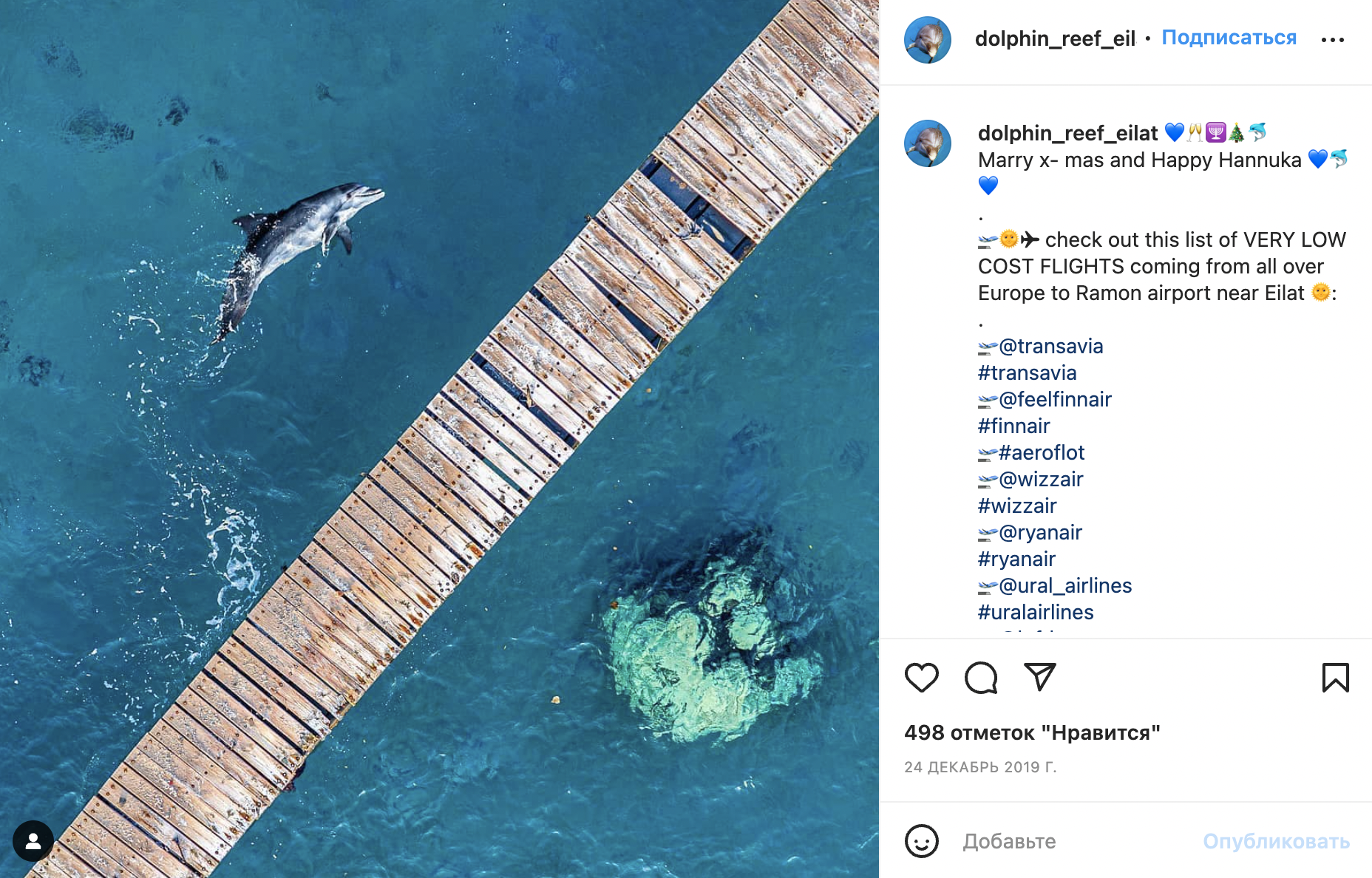 За морскими млекопитающими в «Дельфиньем рифе» можно наблюдать с плавучих пирсов