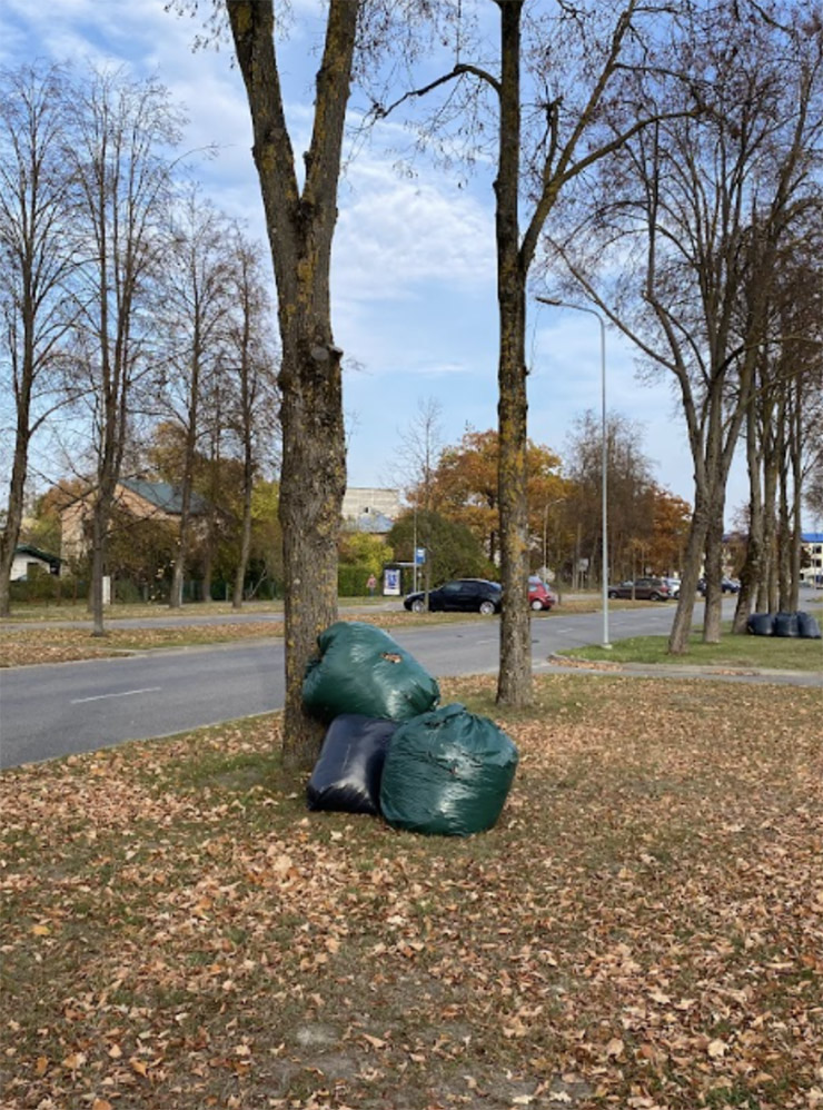 Каждую осень в городах собирают опавшую листву. Мешки забирают муниципальные службы или можно сдать их на станцию переработки биоотходов