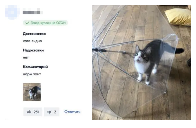 У зонта есть достоинство, которое сложно переоценить